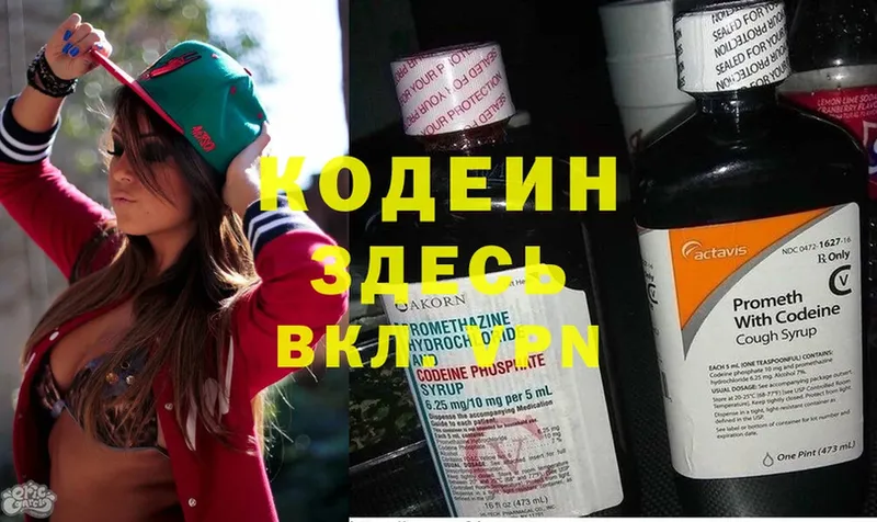 где купить наркотик  Новоузенск  Codein Purple Drank 