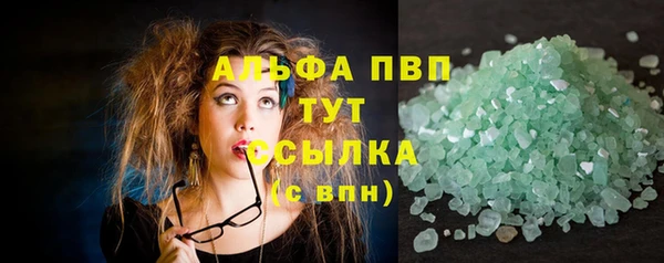 крисы Бородино